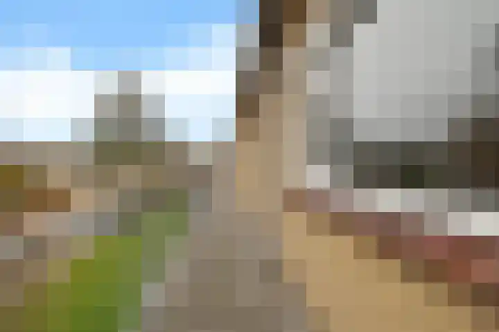 De Vlet 34 1 Grou thumbnail 6