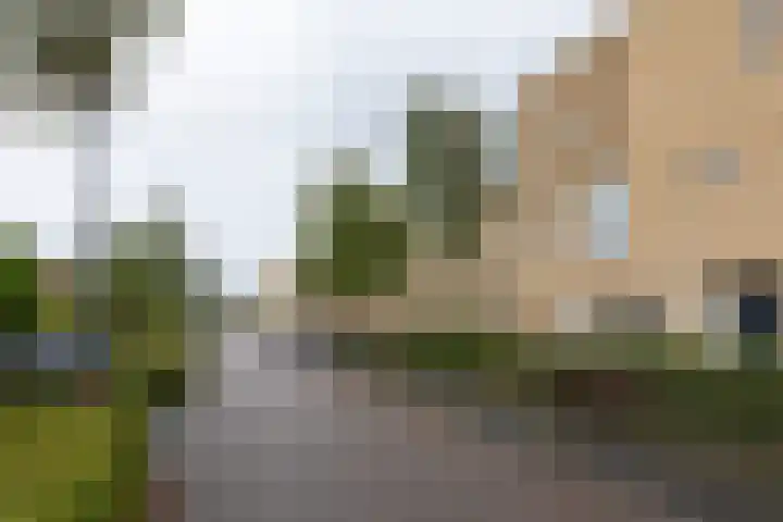 De Vleyen 96 Hoofddorp thumbnail 26
