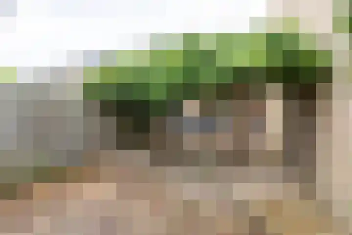 De Vleyen 96 Hoofddorp thumbnail 28
