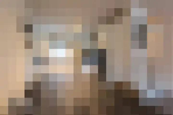 De Vleyen 96 Hoofddorp thumbnail 6