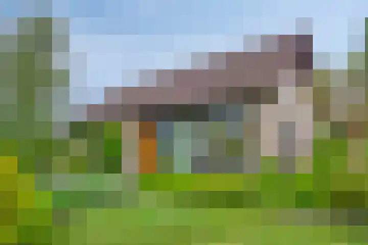 de Vlier 11 Roden