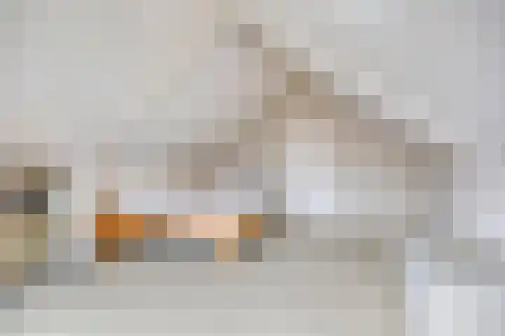 de Vlier 11 Roden thumbnail 24