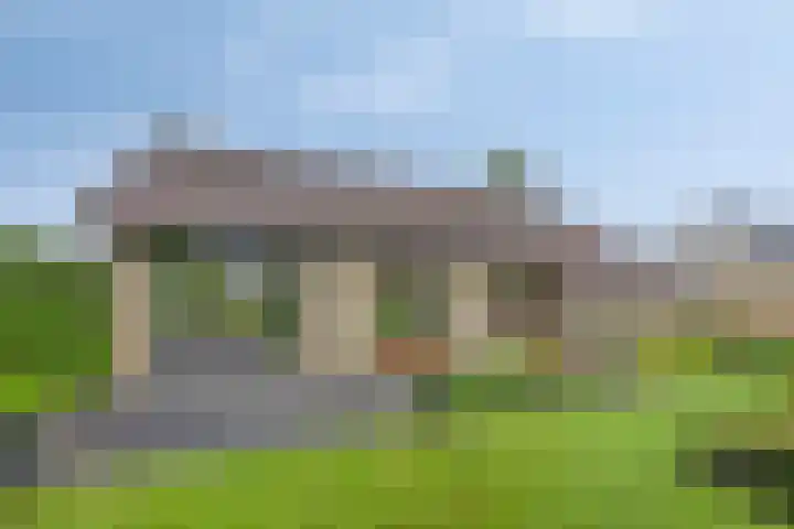 de Vlier 11 Roden thumbnail 28