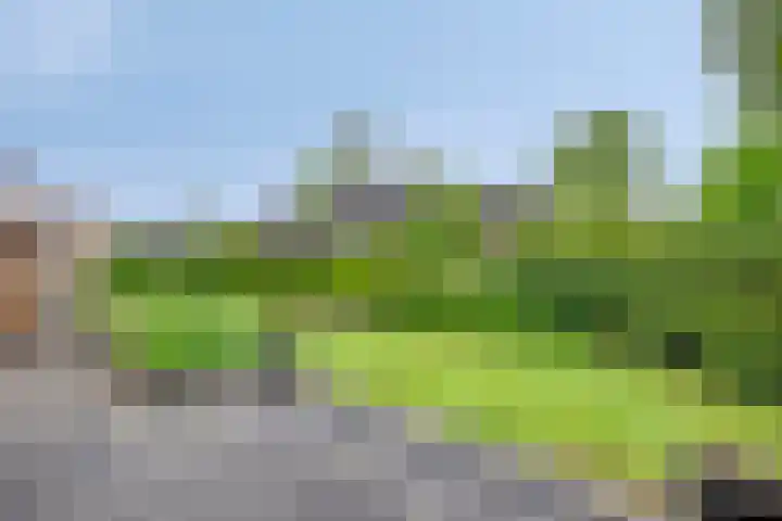 de Vlier 11 Roden thumbnail 30