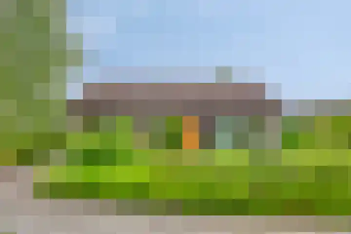 de Vlier 11 Roden thumbnail 33