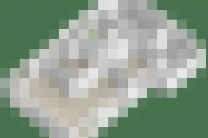 de Vlier 11 Roden thumbnail 39