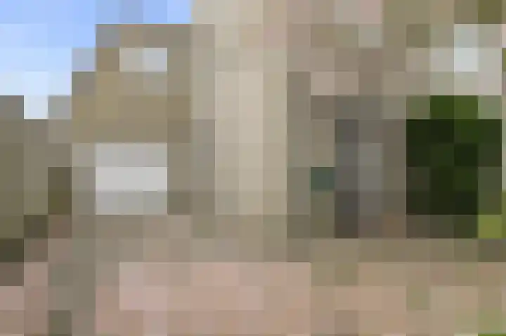 De Vliert 5 Dorst foto 3