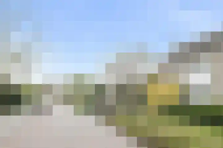 De Vliert 5 Dorst thumbnail 4