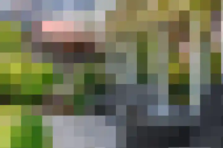 De Vliert 5 Dorst thumbnail 41