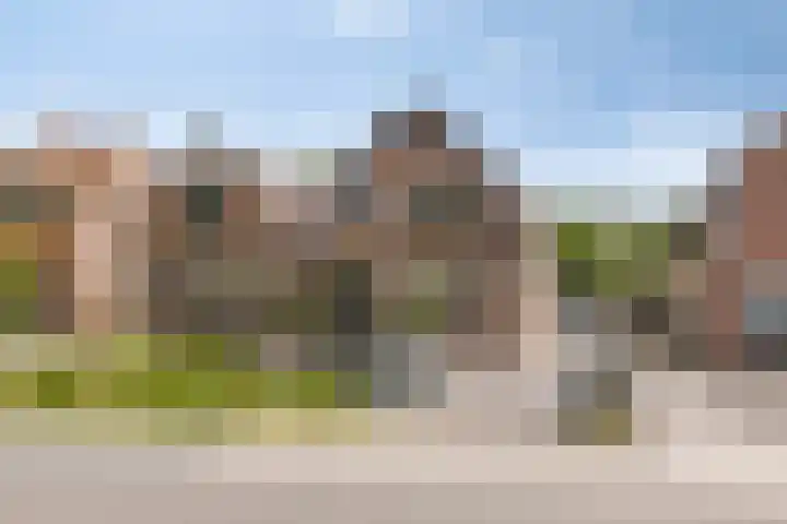 De Vliert 5 Dorst thumbnail 43