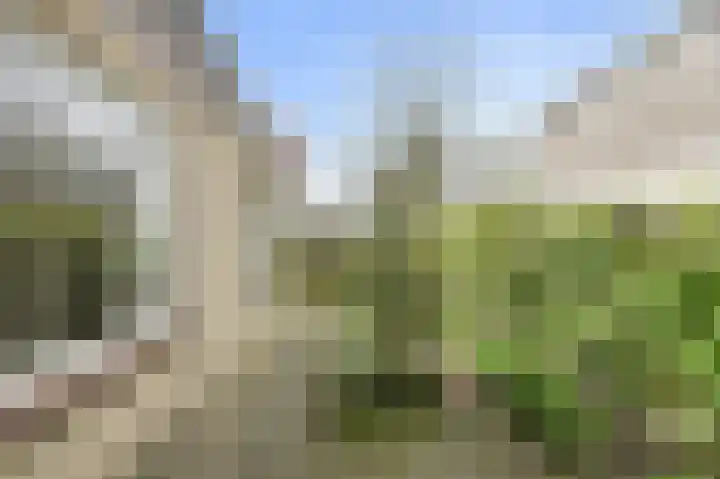 De Vliert 5 Dorst thumbnail 46