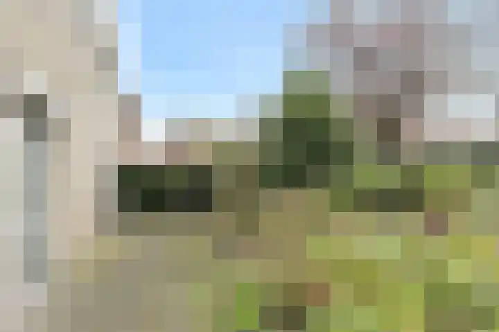 De Vliert 5 Dorst thumbnail 47