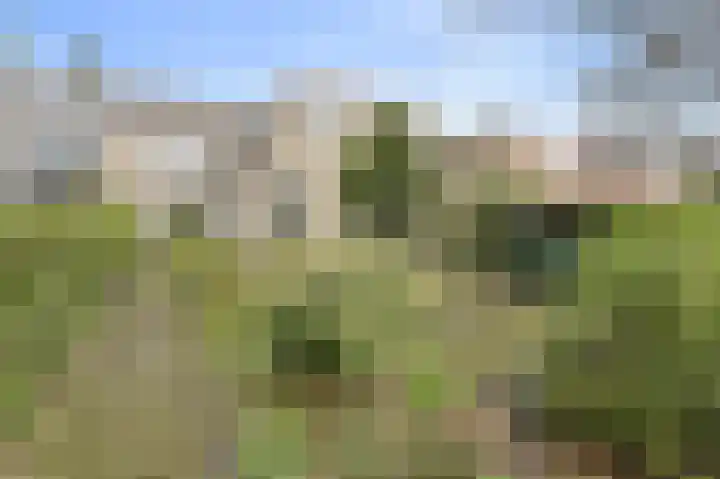 De Vliert 5 Dorst thumbnail 48