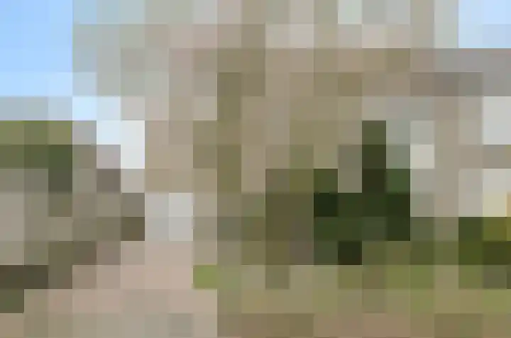 De Vliert 5 Dorst thumbnail 51