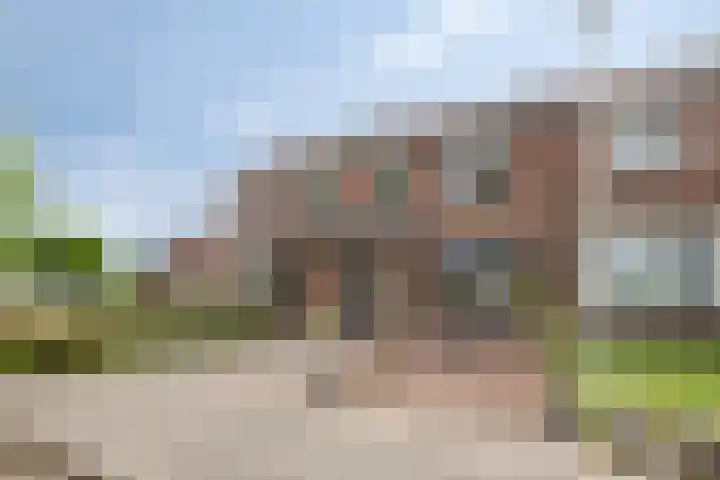 De Vogelkers 9 Bedum