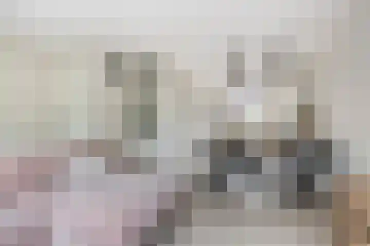 De Vogelkers 9 Bedum thumbnail 10