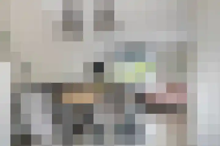 De Vogelkers 9 Bedum thumbnail 14