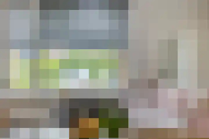 De Vogelkers 9 Bedum thumbnail 15