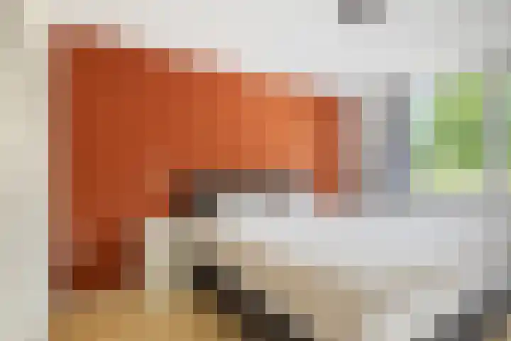 De Vogelkers 9 Bedum thumbnail 21