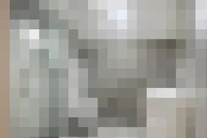 De Vogelkers 9 Bedum thumbnail 23