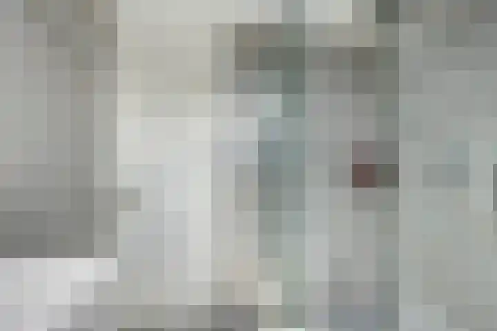 De Vogelkers 9 Bedum thumbnail 24