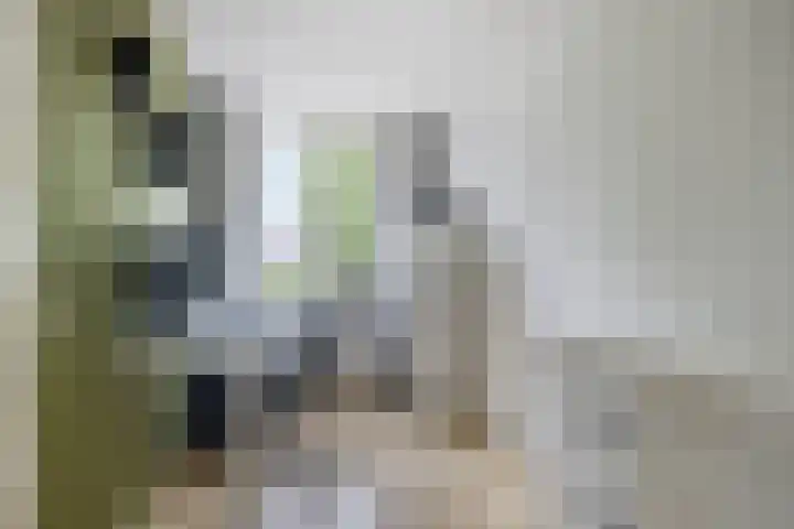 De Vogelkers 9 Bedum thumbnail 25