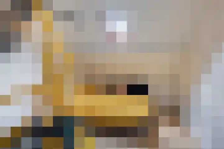 De Vogelkers 9 Bedum thumbnail 30