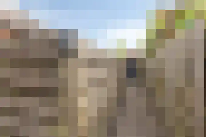 De Vogelkers 9 Bedum thumbnail 34