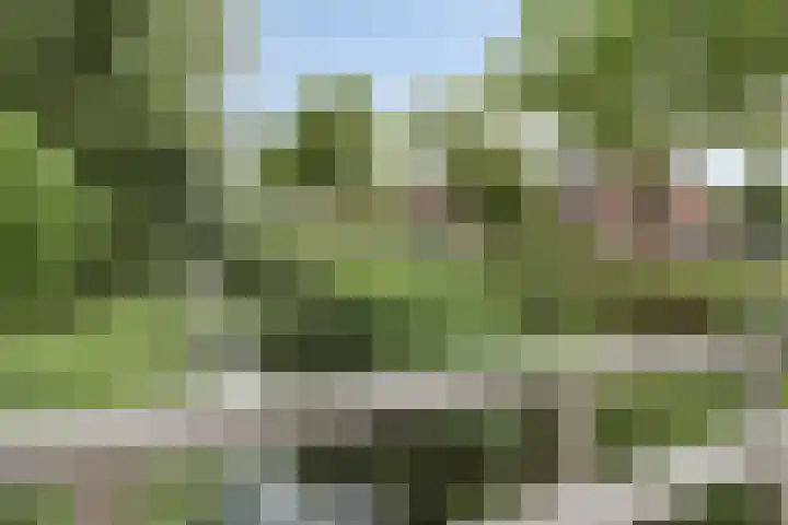De Vogelkers 9 Bedum thumbnail 35