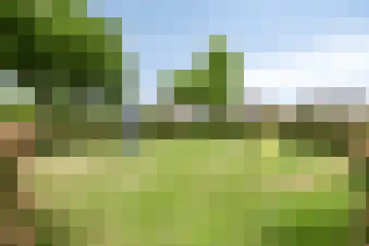 De Vogelkers 9 Bedum thumbnail 36