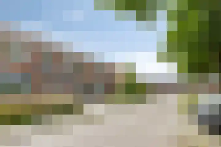De Vogelkers 9 Bedum thumbnail 37