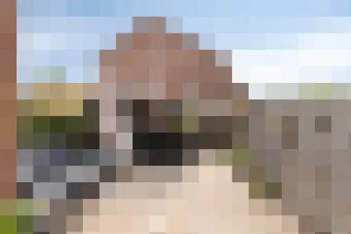 De Vogelkers 9 Bedum thumbnail 4
