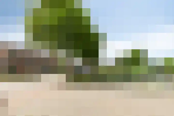 De Vogelkers 9 Bedum thumbnail 6