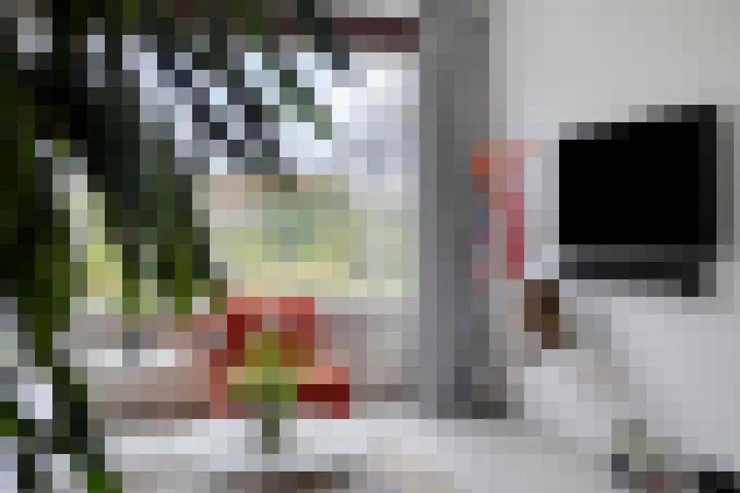 De Volder 20 Boxtel thumbnail 22