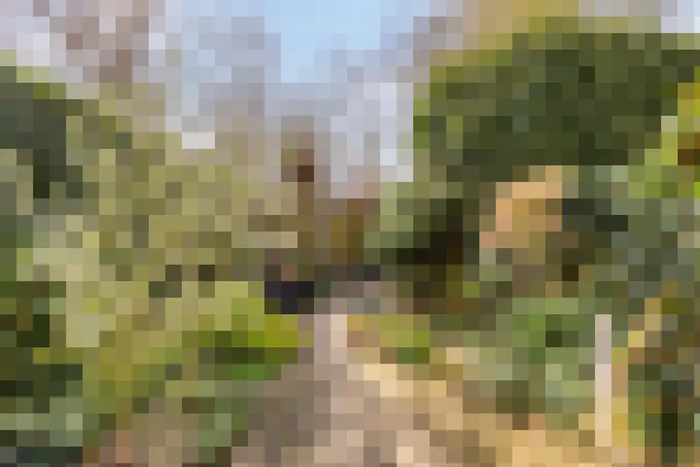De Volder 20 Boxtel thumbnail 38