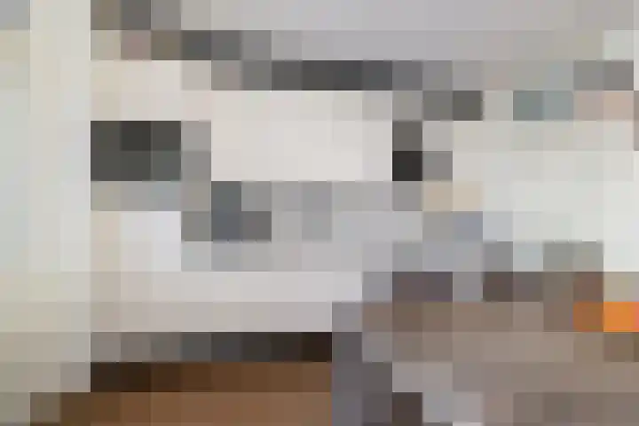 De Volder 25 Boxtel thumbnail 22