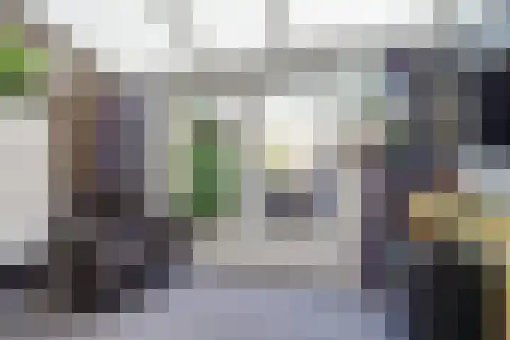 De Volder 25 Boxtel thumbnail 25
