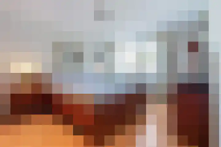 De Volder 25 Boxtel thumbnail 32