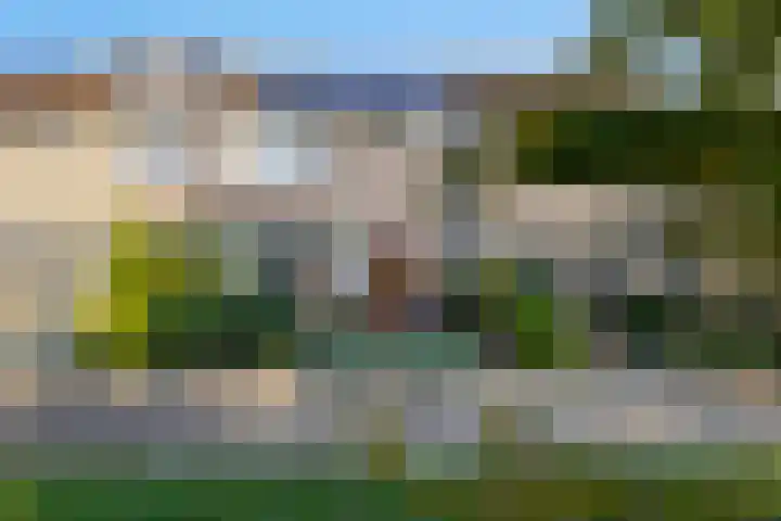 De Volder 25 Boxtel thumbnail 5