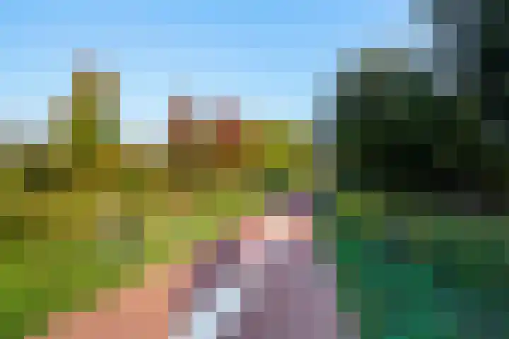 De Volder 25 Boxtel thumbnail 65