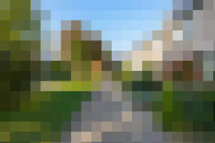 De Volder 25 Boxtel thumbnail 7