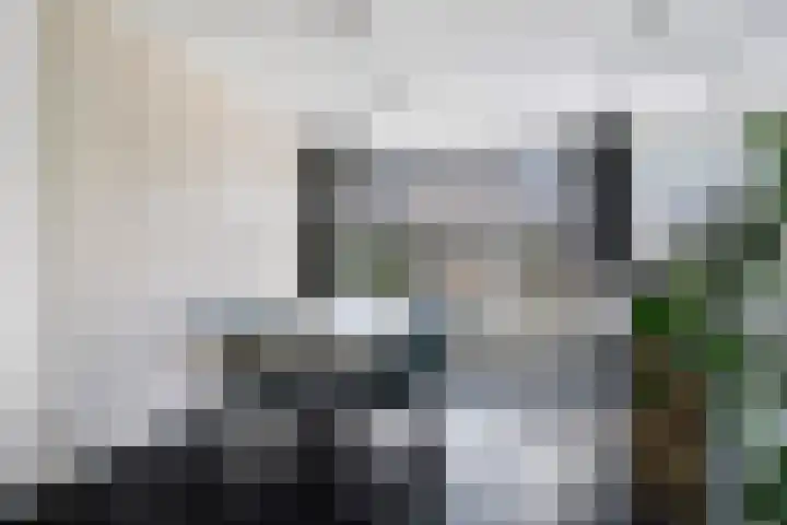 De Volder 71 Boxtel thumbnail 10