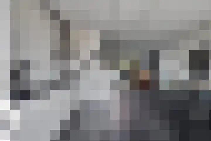 De Volder 71 Boxtel thumbnail 14