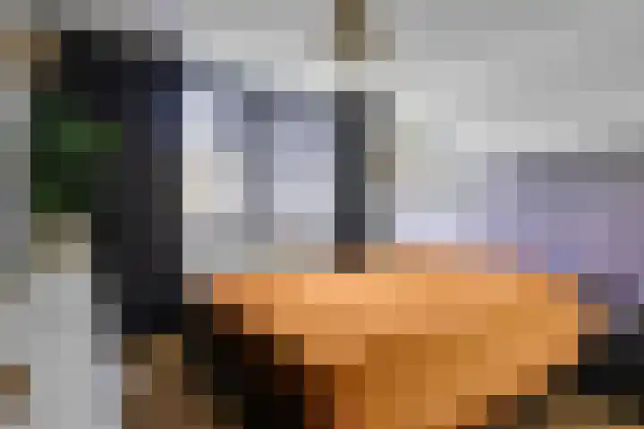 De Volder 71 Boxtel thumbnail 18