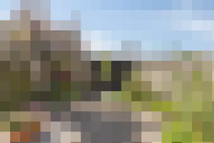 De Volder 71 Boxtel thumbnail 25
