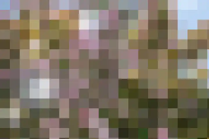 De Volder 71 Boxtel thumbnail 29