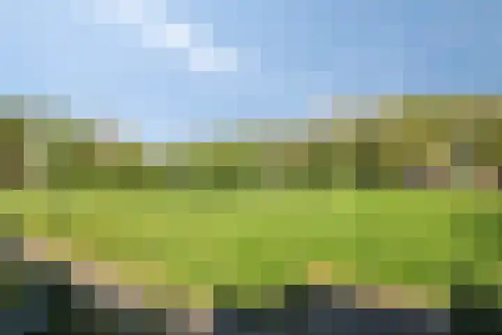 De Volder 71 Boxtel thumbnail 34