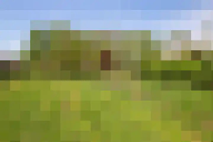 De Volder 71 Boxtel thumbnail 39