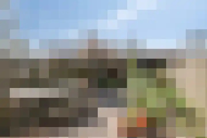 De Volder 71 Boxtel thumbnail 5