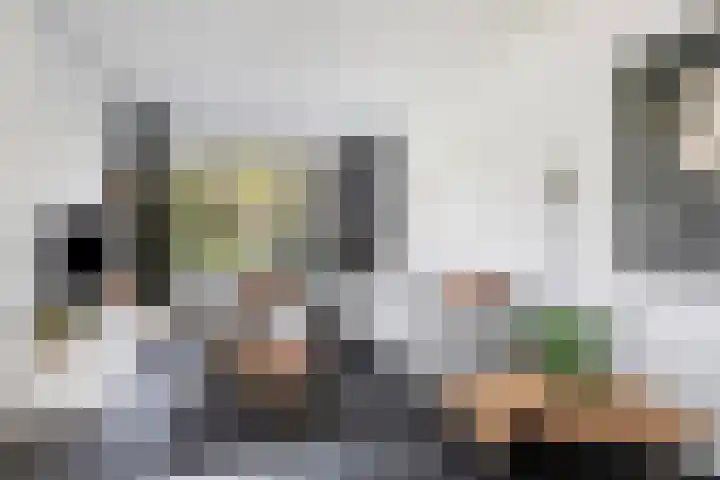De Volder 71 Boxtel thumbnail 8